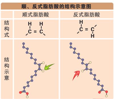 【健康科普】反式脂肪酸,你真的了解吗?
